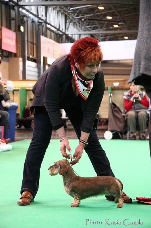 Crufts2011_2 1564.jpg